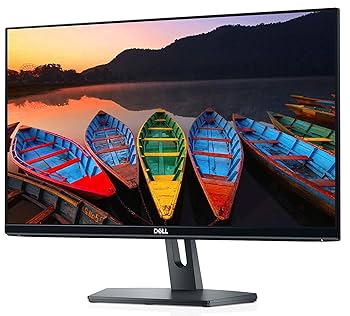 Amazon.com: Dell SE2419H 24